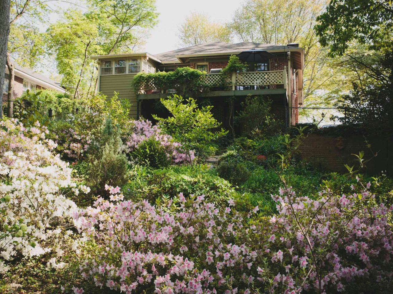 landscaping a steep slope