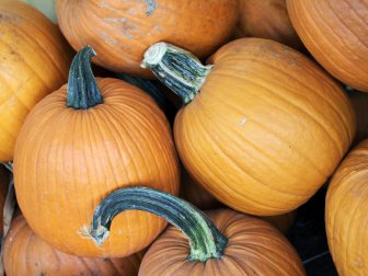 Heirloom Pumpkins