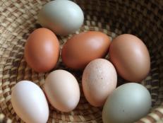 HGTV_assorted eggs.JPG