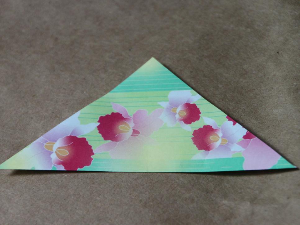 Step By Step Origami Flower Folding Guide Hgtv