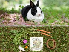 Animal Diaries: The Rabbit
