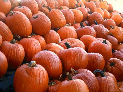 When to Harvest Pumpkins
