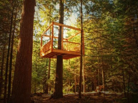 Treehouse Designers Guide: Elevated Living