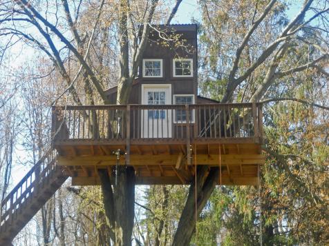 Treehouse Designers Guide: Living Tree