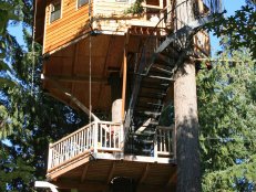 Treehouse Designs