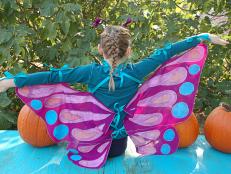 butterfly costume 1.jpg
