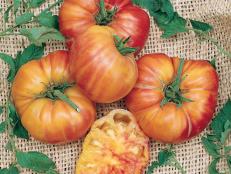 'Mr. Stripey' Tomato - Tomato Varieties - Heirloom Tomato