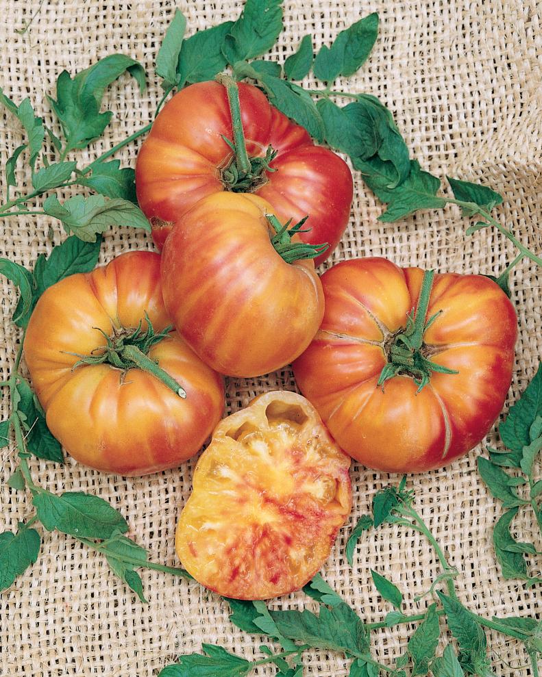 'Mr. Stripey' Tomato - Tomato Varieties - Heirloom Tomato