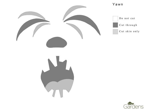 Yawn Face - Roblox