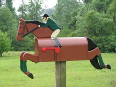 Horsing Around With the Mailman