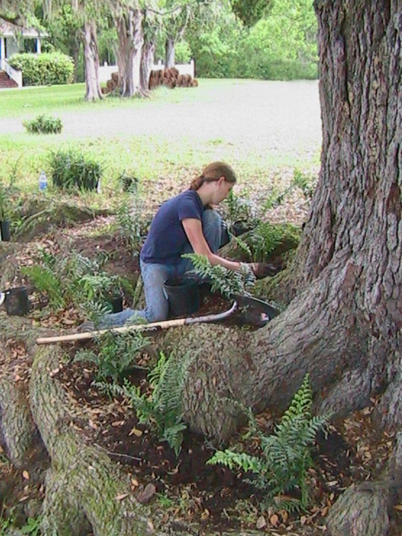 The most cost effective way to landscape is to do it yourself, but don’t think of it as a chore. “Dedicating time to maintaining and improving your landscape can bring about great results you can see, and some you can’t,” Garrard says. “Stress levels tend to taper off when you engage in the therapeutic practice of gardening.” &nbsp;