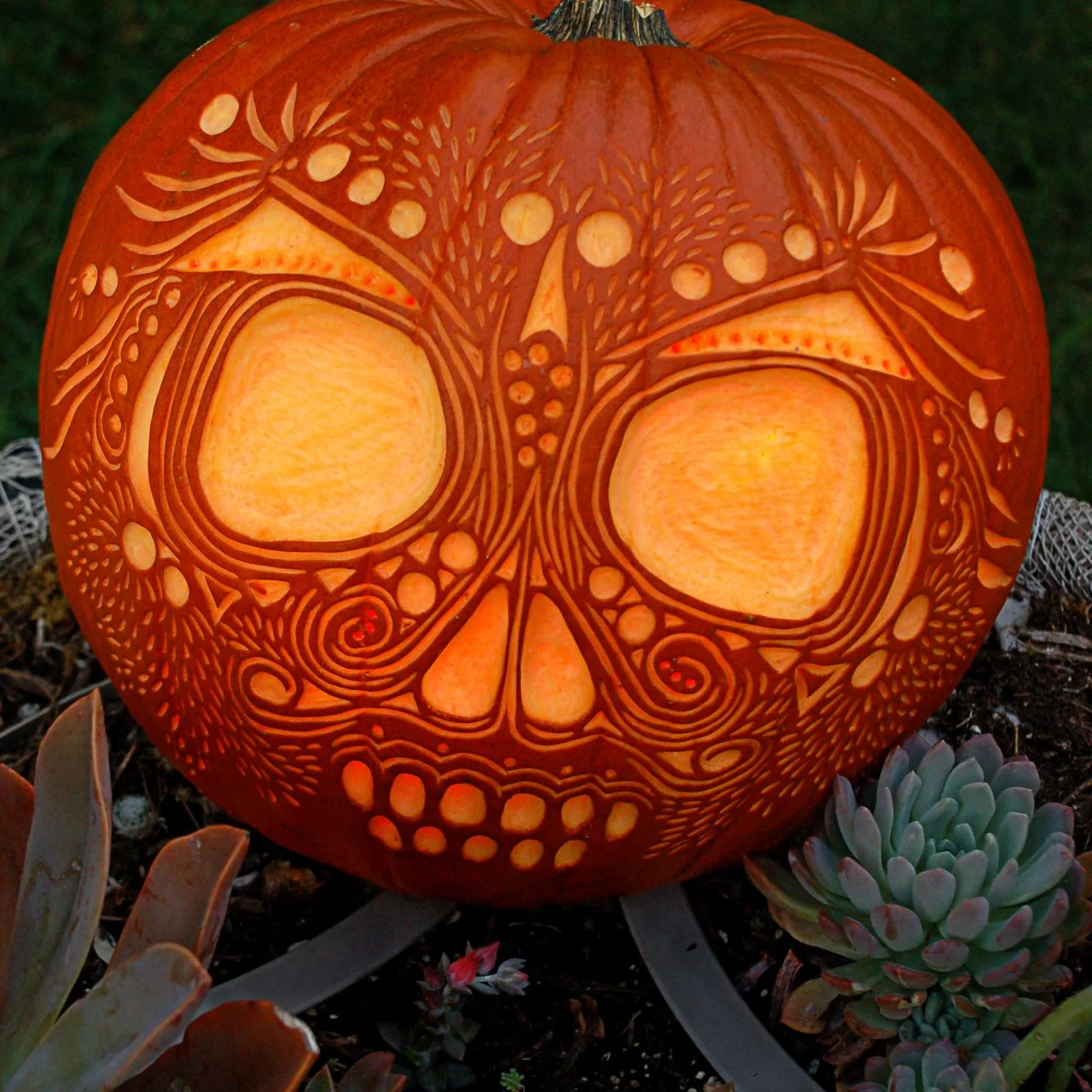 Pumpkin Carving Patterns | HGTV