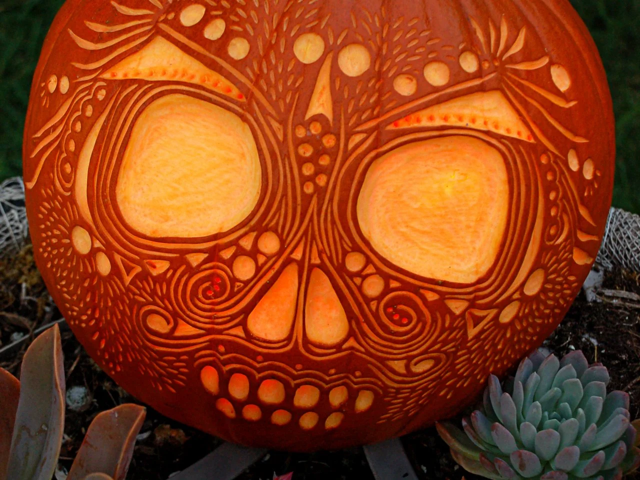 Pumpkin Carving Patterns | HGTV