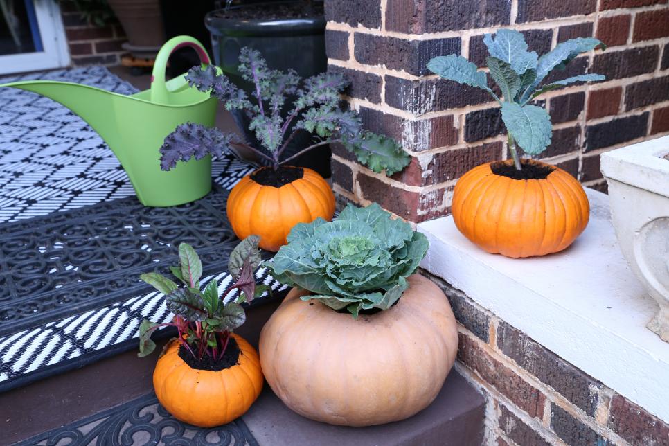 43 Sharpie Halloween Pumpkin Decor Ideas - Shelterness