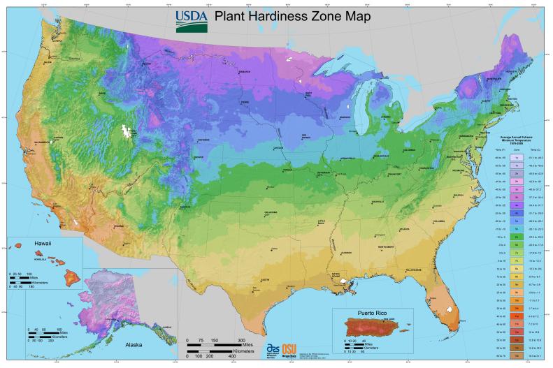 Use this USDA Plant Hardiness Zone Map, provided by the U.S. Dept. of Agriculture (and in the public domain), to help determine which plants are likely to survive the winter in your area. The map divides the country into 12 gardening zones, based on the average lowest temperatures in each.  Remember: the map is a guide. Many other factors determine whether or not a plant will overwinter in your garden, including humidity, sunlight, soil type, and wind.