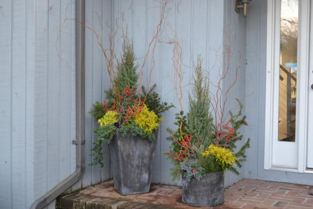 In winter, container gardens anchored by dark green conifers add some eye-catching interest to a home's entrance.