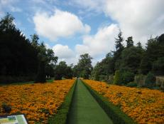 Highclere House Gardens