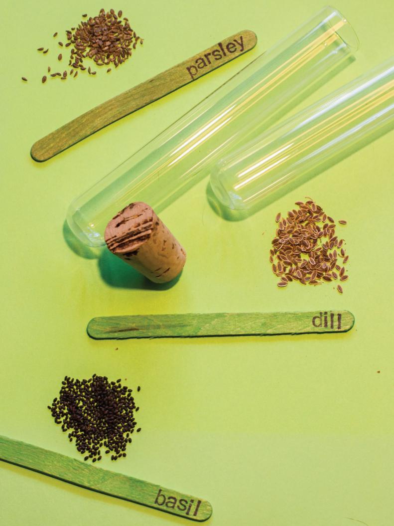 Clean and dry test tubes. Divide seed packets in half and fill each of the three tubes with different seeds. Insert the corresponding popsicle stick and seal the tube with a cork stopper.