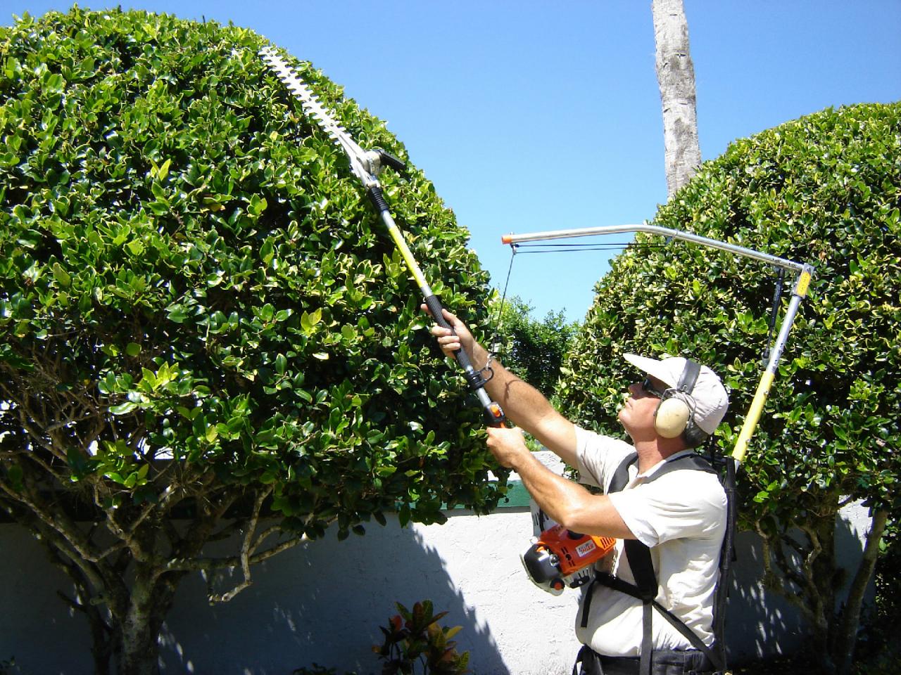 Adaptive Gardening Techniques for Gardeners with Disabilities HGTV