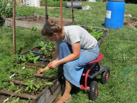Accessible Gardening Techniques