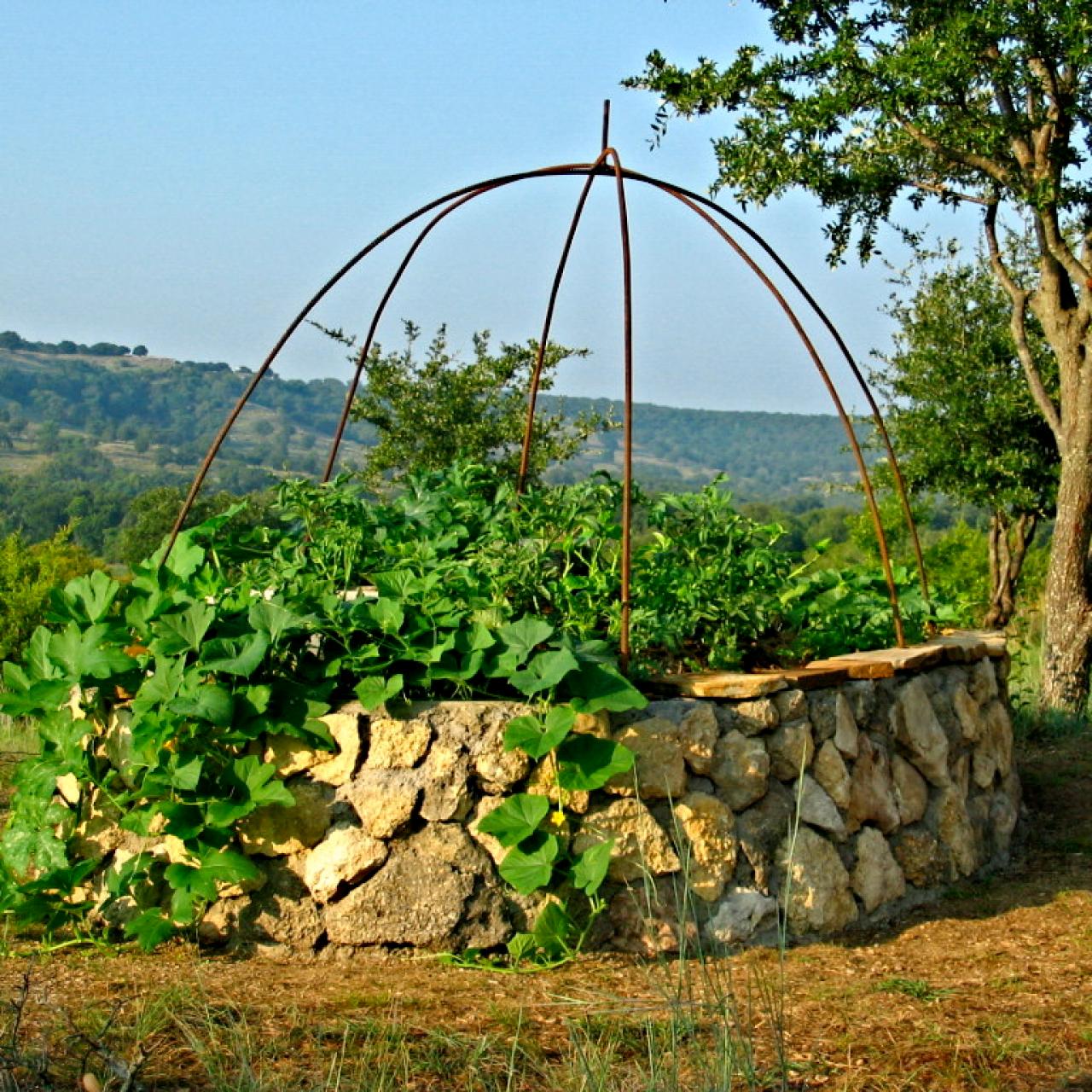 DIY Keyhole Garden: A Dad's Guide to a Garden for Sustainable