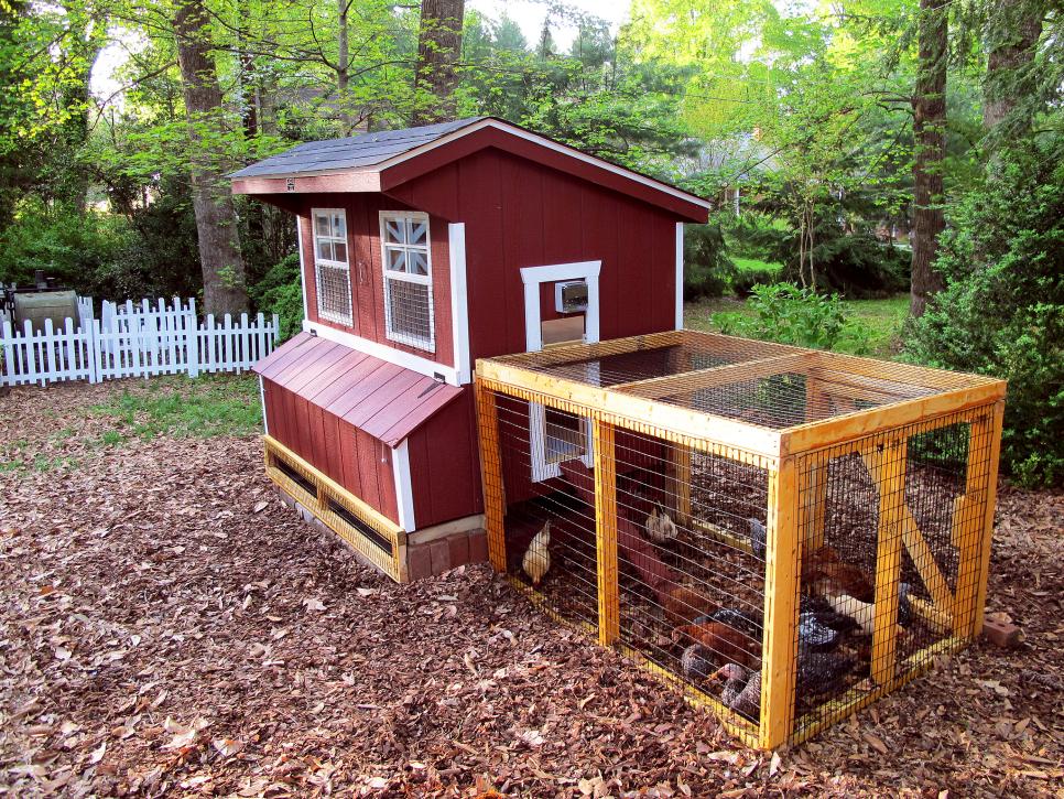 Amazing Chicken Coop Design Ideas | HGTV