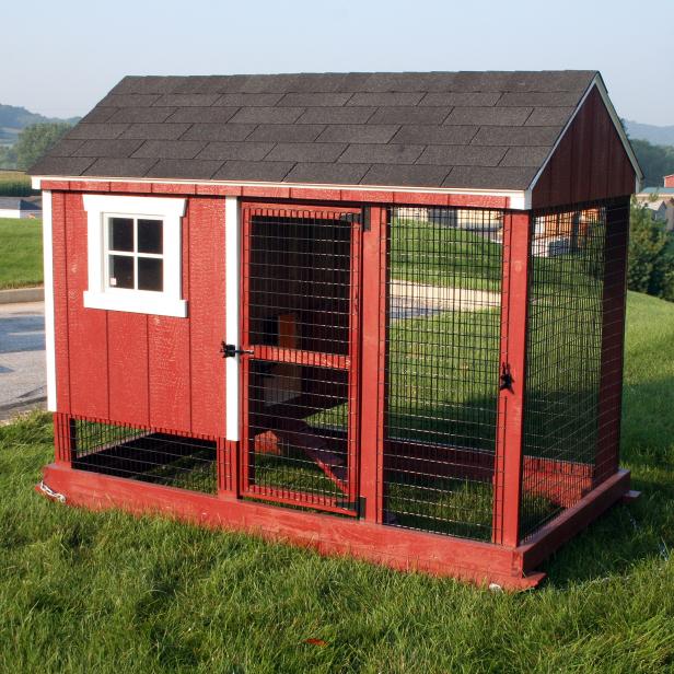 Chicken coop designs with pallets