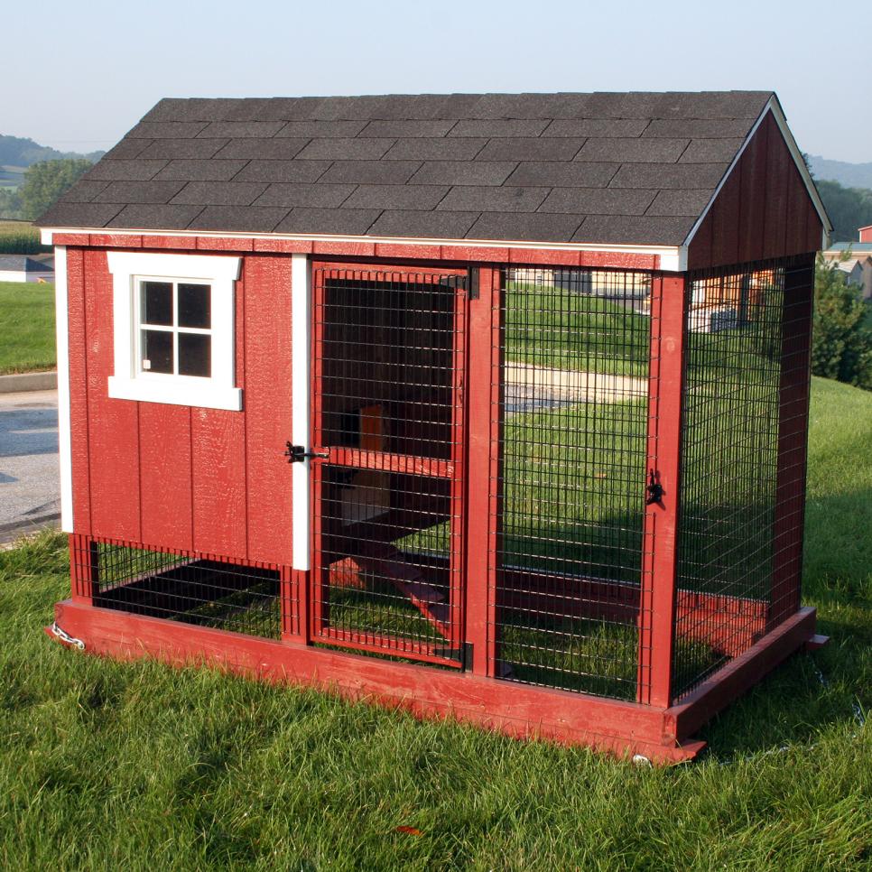 chicken pen layout