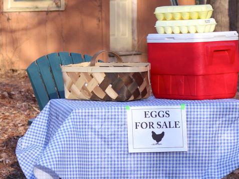 Selling Backyard Chicken Eggs