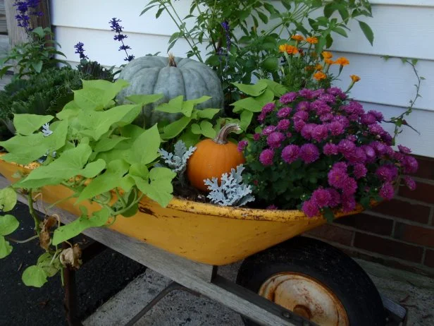Old wheelbarrow with pumpkins and flowers