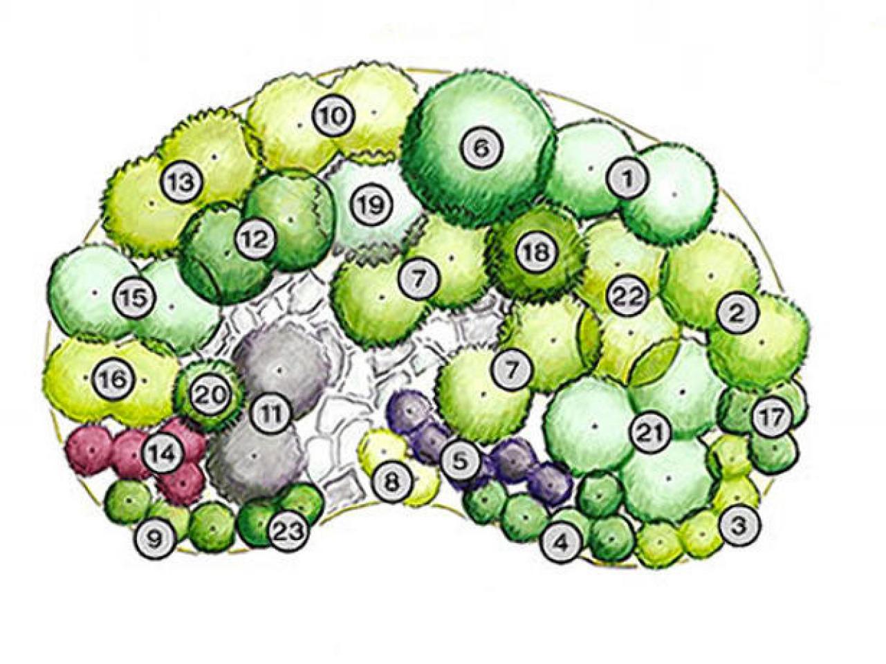 Herb Garden Design Plan Hgtv