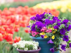 Jazz up your yard with a different sized containers and seasonal plants.