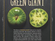 Green Giant tomato from Epic Tomatoes, by Craig LeHoullier