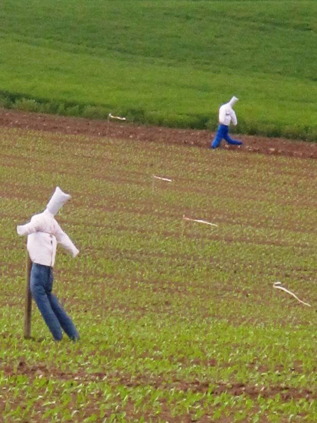 Scarecrow And Harvest Creature Design Ideas Hgtv