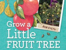 Grow a Little Fruit Tree book cover