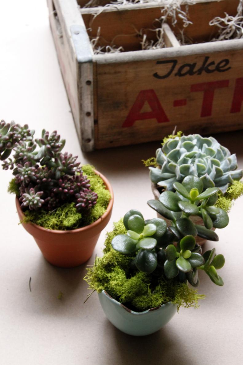 Learn how to put together this lovely gift for your favorite gardener.