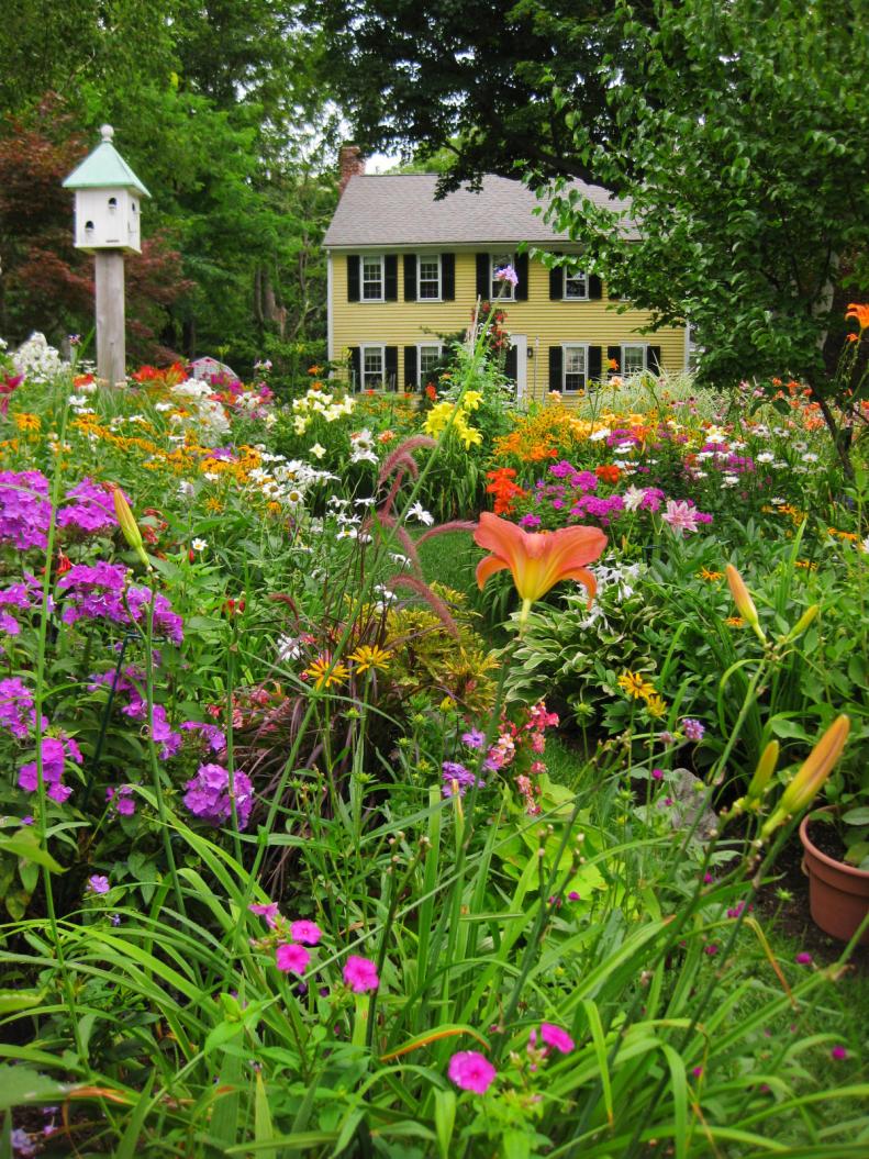 Colorful Perennial Summer Garden in Front of Yellow Home