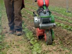 A gardener uses a rototiller to prepare the soil in a vegetable garden.
