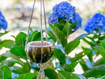 Hanging Gourd Bird Feeder