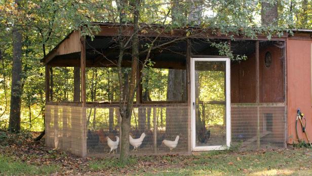 How To Build A Chicken Run The Prairie Homestead