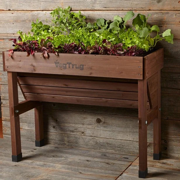 How to Build a Raised Garden Bed Cheap With Legs: Easy DIY Guide