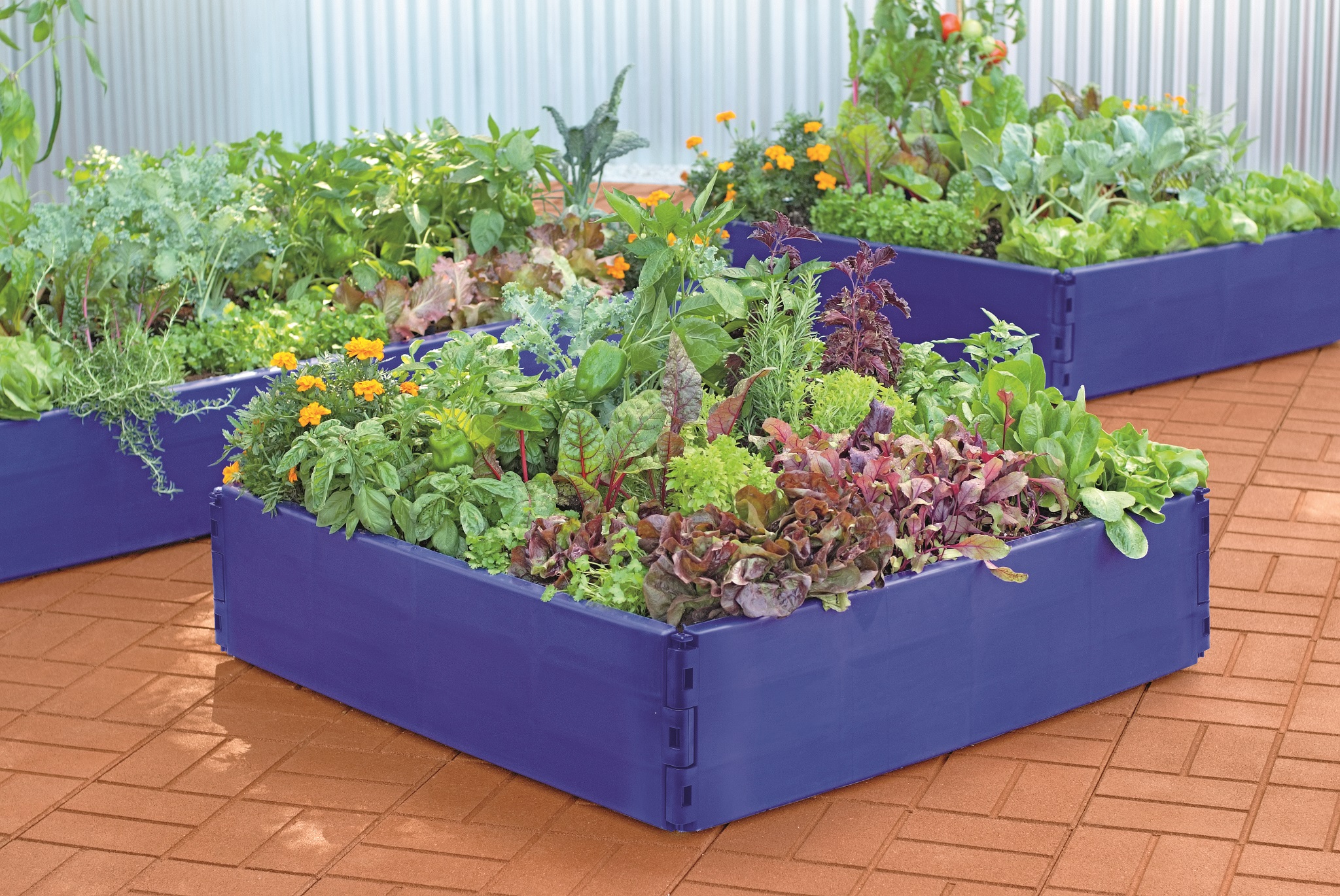 Garden Grow Bag Indoor Outdoor Garden Plant Bed for Plants,Vegetables,Flowers. MATTAWA Raised Garden Bed Deeper Version-4 Planter Boxes