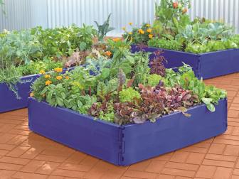 Raised bed