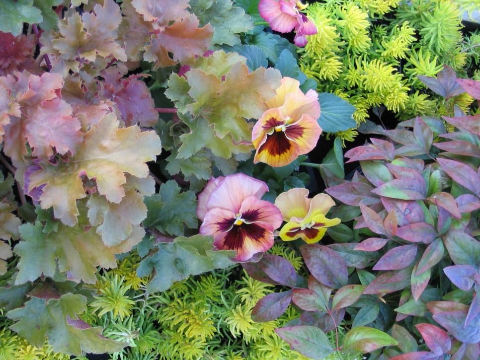 Prepare Your Lawn And Garden For Fall, How To Make A Fall Flower Garden