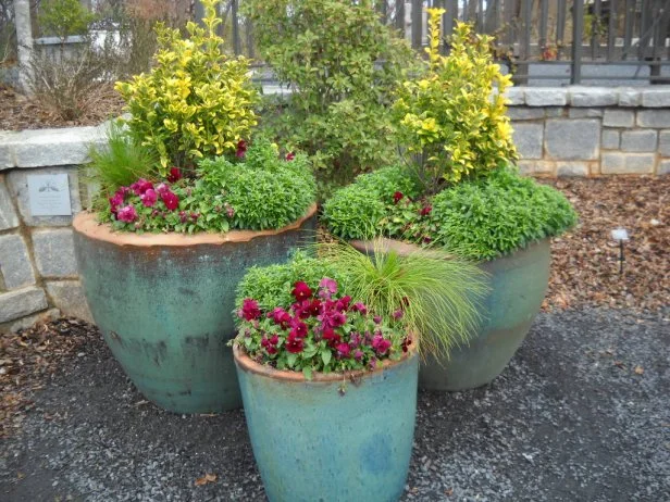 How to Design Container Garden During Wet Summers: Expert Tips