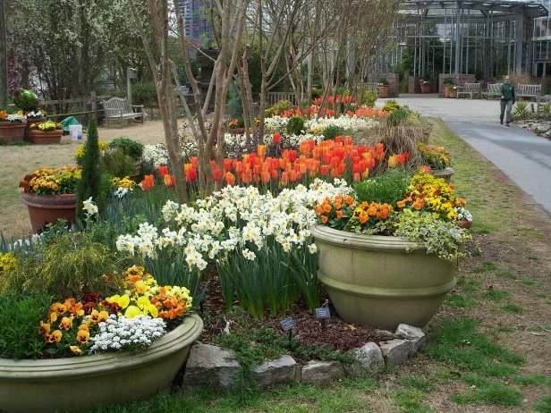 How to Design Container Garden During Wet Summers: Expert Tips