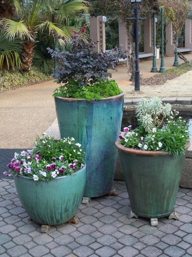 How to Design Container Garden During Wet Summers: Expert Tips