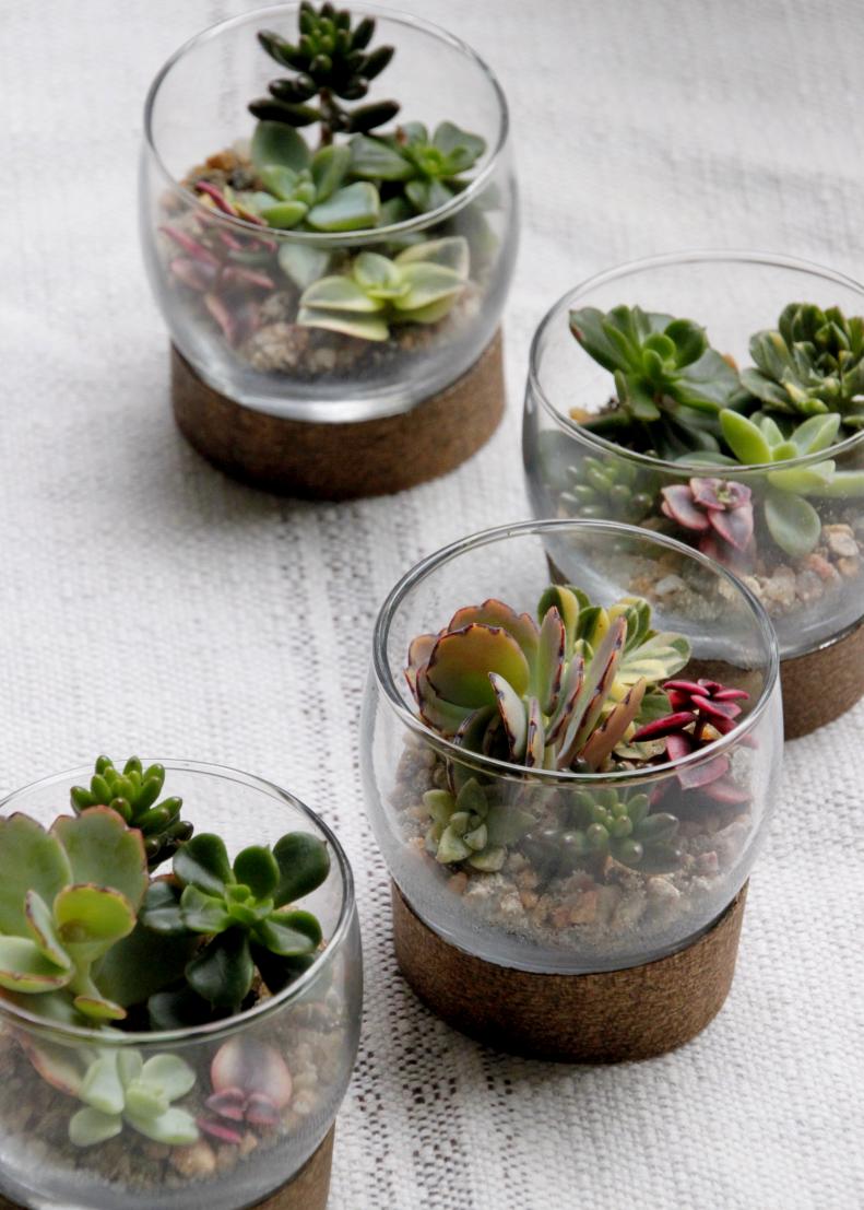 Share your love of gardening with these miniature take-home terrariums for the holidays.