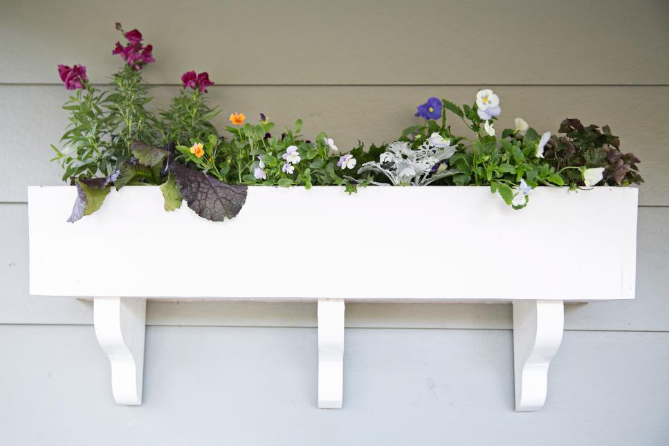 Easy Winter Window Boxes Hgtv