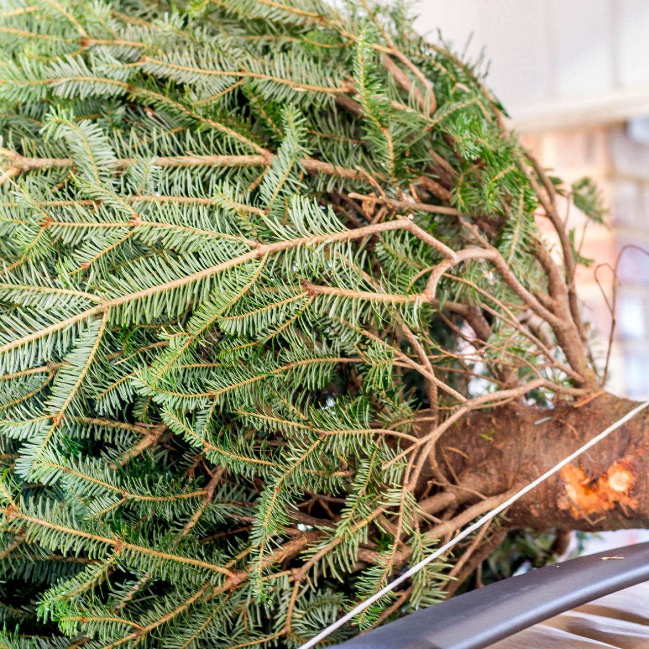 Whole artificial evergreen branches Can Make Any Space Beautiful and  Vibrant 